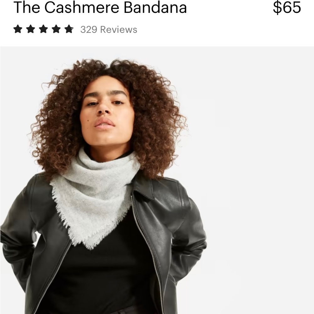 Everlane Cashmere Bandana Scarf - Grey